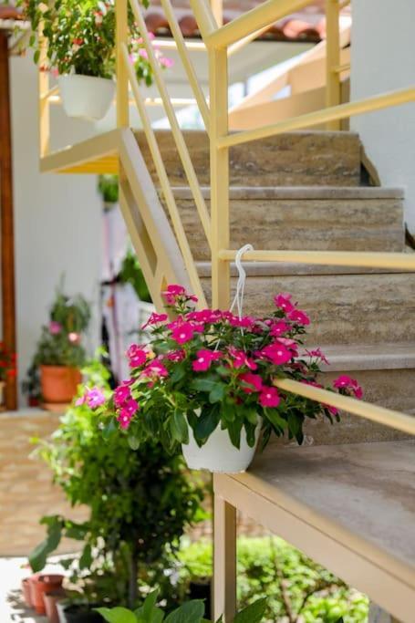 Cereni Guesthouse Berat Exteriér fotografie